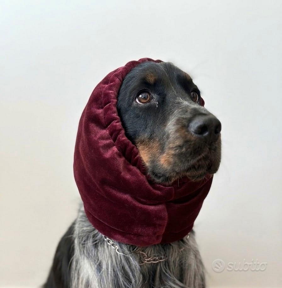 Copriorecchie cocker - Accessori per animali In vendita a Foggia