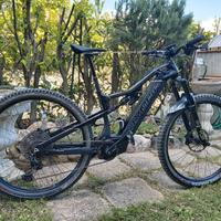 bici e-bike Olimpia Karbo 