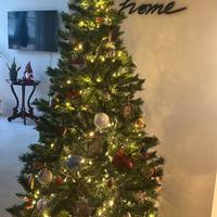 Albero di natale