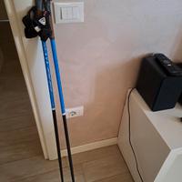 Bastoncini nordic walking 