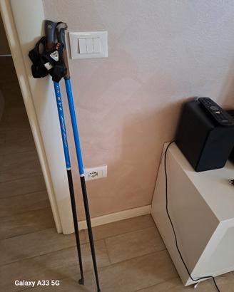 Bastoncini nordic walking 