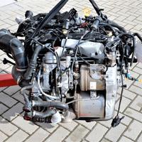 MOTORE - DGD Volkswagen Tiguan 1600 TD