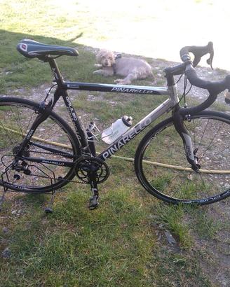bici corsa uomo Pinarello 