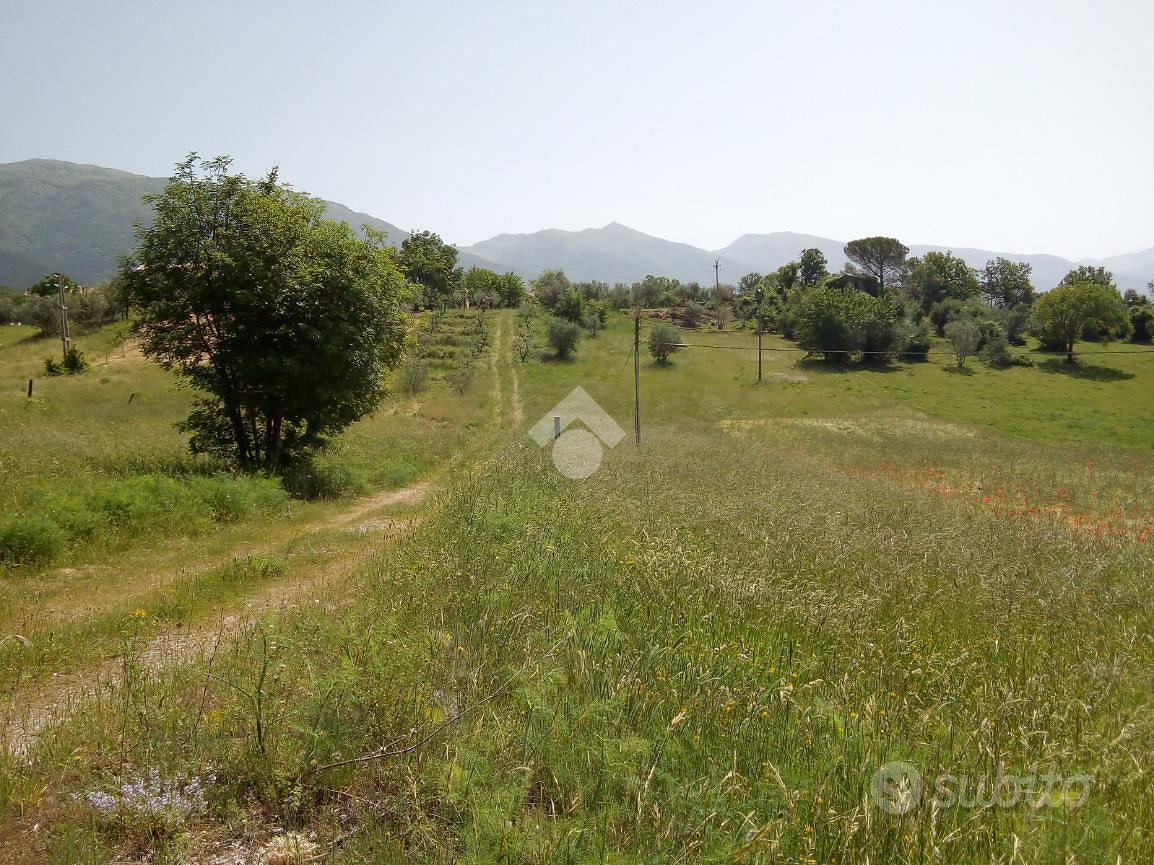RUSTICO A ALVITO - Vista 5