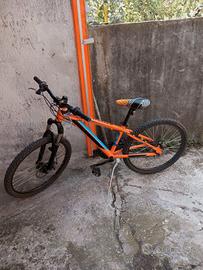 Bici ragazzo 24