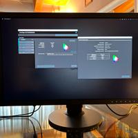 MONITOR EIZO CG2730