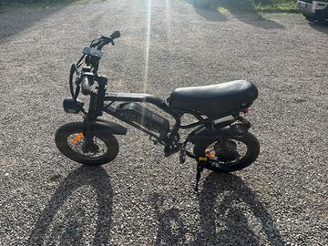 bici elettrica 