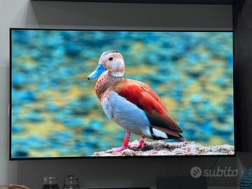 TV OLED LG 55CX6LA