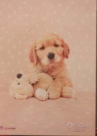 Completo letto matrimoniale Bassetti Golden Puppy