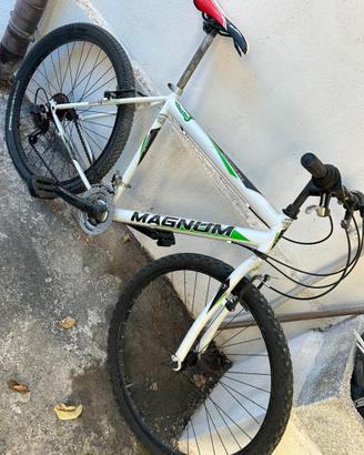 Mtb taglia L