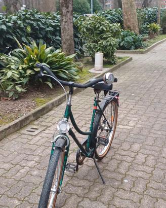 Bicicletta vintage