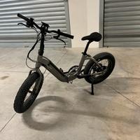 fat bike elettrica