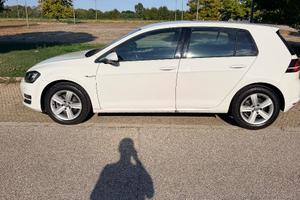 Volkswagen Golf 7 TGI Metano Highline (2014