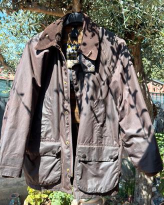 Barbour bedale c40