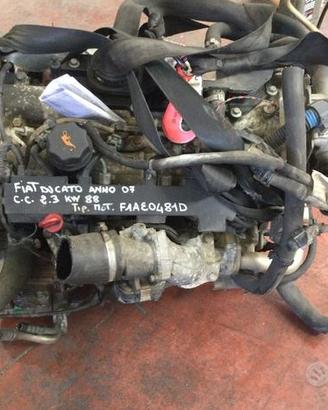 Motore F1AE0481D