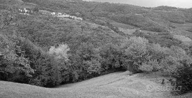 RGE 147/2022 Tribunale Verona