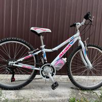 Atala Butterfly 24”  18v