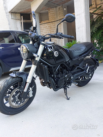 Benelli Leoncino 500