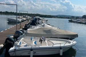 Ranieri Shark 17