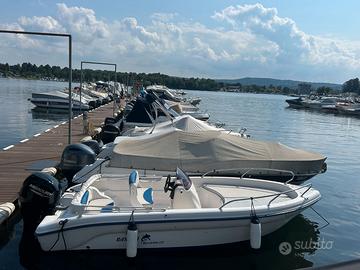 Ranieri Shark 17