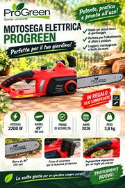 sega elettrica ProGreen 2200 watt