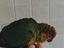 Immagine 2