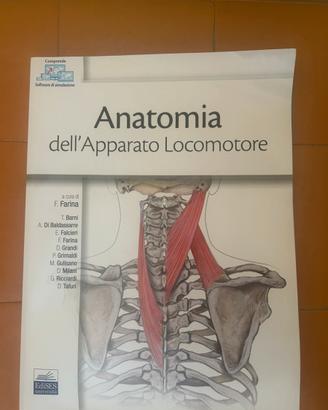 Anatomia dell’apparato locomotore