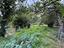 Immagine 12