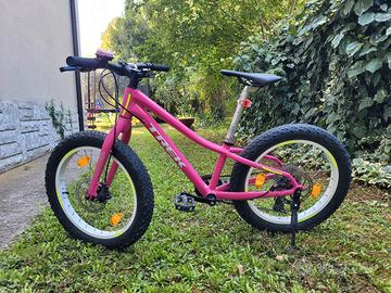 MTB Trek Roscoe 20"