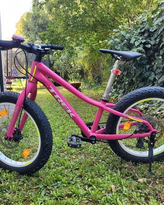 MTB Trek Roscoe 20"