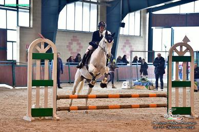 Cavallo salto ostacoli 2015 - fino a 115 cm