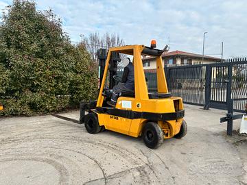 S155 Mulletto Detas 30 q