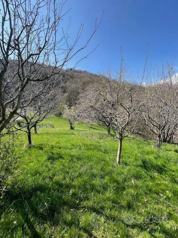 House in Biella, Cavallo - Vista 4