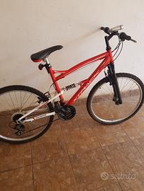 Bicicletta Montebike grande
