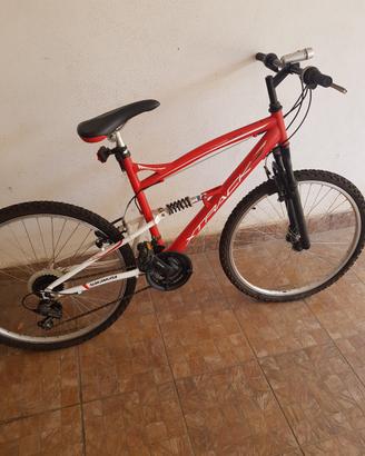 Bicicletta Montebike grande