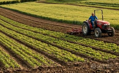 Terreno agricolo