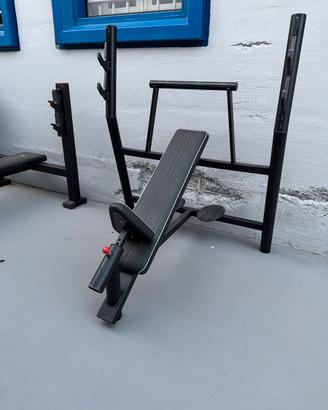 Palestra panche piana e obliqua