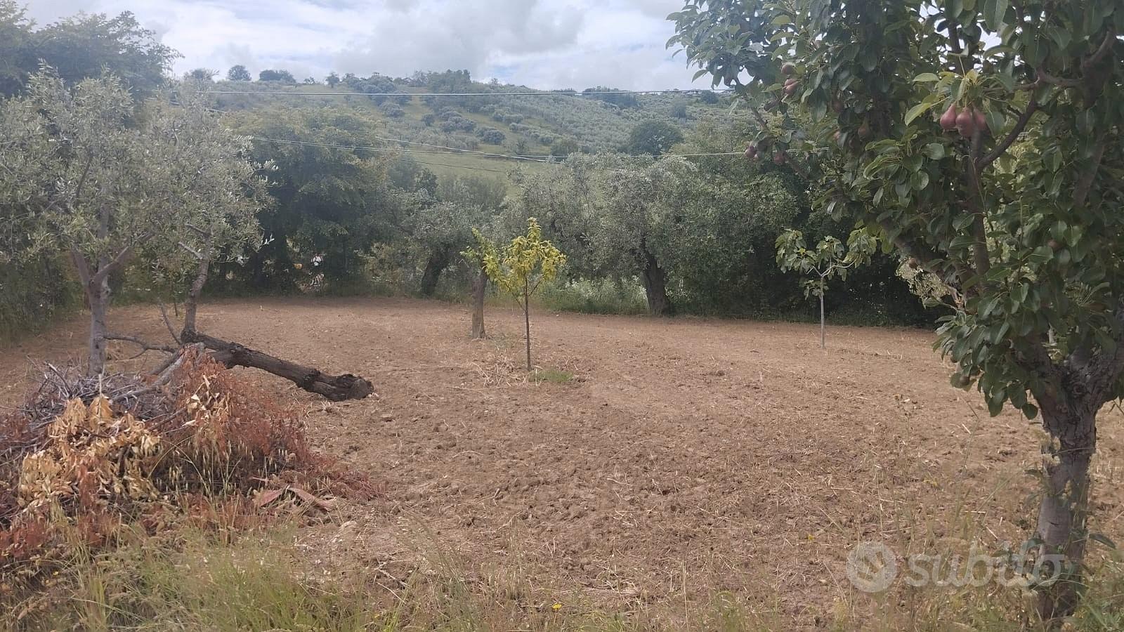 Terreno edificabile in zona Dragonara - Vista 4