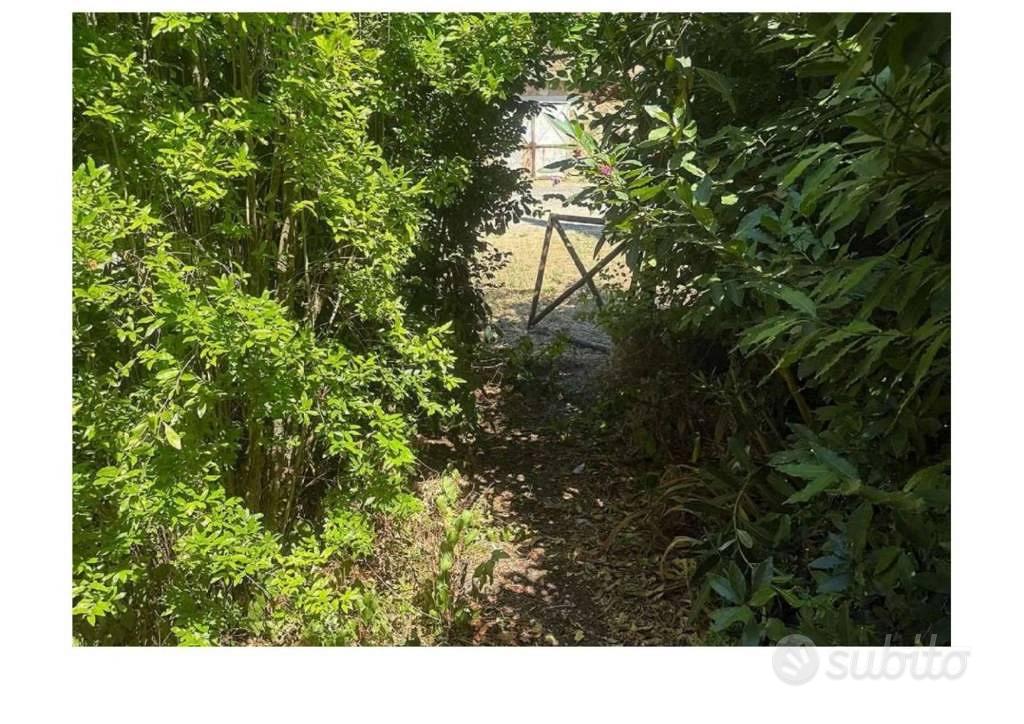 Appartamento – Gavorrano, Grosseto - Vista 4