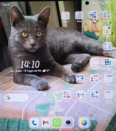 Cellulare Honor magic v3 