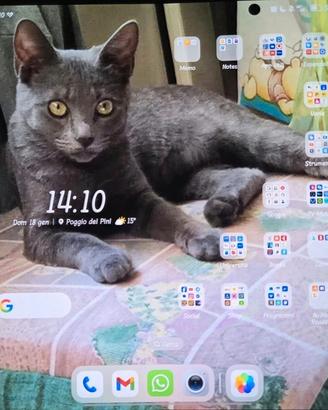 Cellulare Honor magic v3 