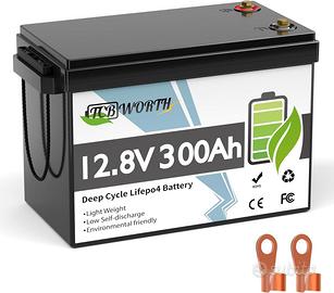 Batteria LiFePO4 TCBWORTH 12V 300Ah