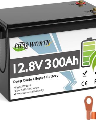 Batteria LiFePO4 TCBWORTH 12V 300Ah