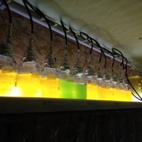 1 litro di fitoplancton vivo