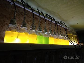 1 litro di fitoplancton vivo