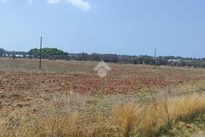 TER. AGRICOLO A NARDÒ