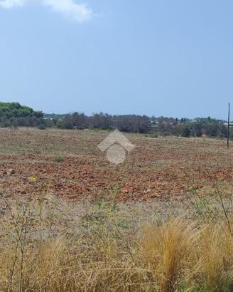 TER. AGRICOLO A NARDÒ