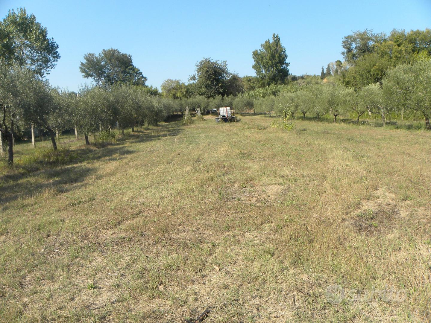 Terreno agricolo di mq. 6000 - Vista 2