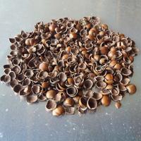 Gusci di Nocciole e Cippato per Riscaldamento