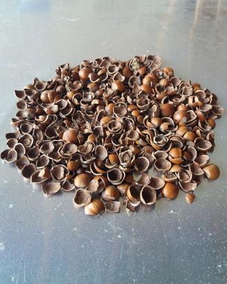 Gusci di Nocciole e Cippato per Riscaldamento